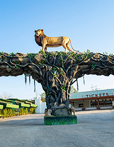 Jungle Safari At Statue of Unity